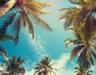 view blue sky palm trees evoking tropical beach travel