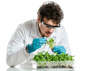 Biologist studying sprouts in a clear container Isolated on white background