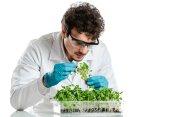 Biologist studying sprouts in a clear container Isolated on white background