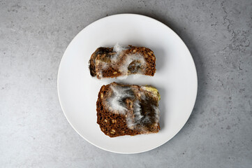 Mold on old expired bread