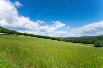 青い空の大草原、夏の牧草し、天気の良い原っぱ、青空に映える牧草地、