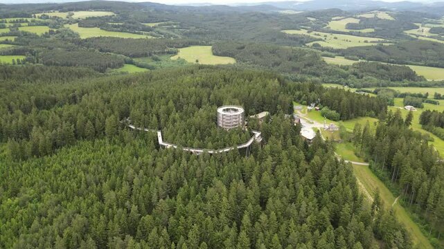 Aerial view of Lipno Treetop Walkway in Bohemian Forest, Kramolin-Lipno nad Vltavou, Czechia