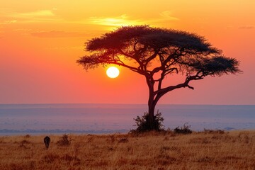 A lone tree stands tall against a fiery sunset in the African savanna its silhouette casting a dramatic shadow on the golden grass as a