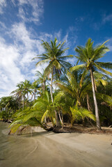 Cayo zapatilla Bocas del toro Panama 