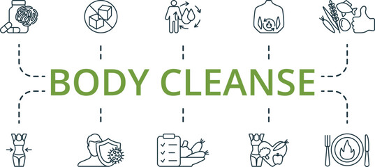 Body Cleanse thin line icon set. Monochrome simple Body Cleanse icon collection. Probiotics, Sugar Free, Water Balance, Metabolism, Healthy Food, Slim Body, Immunity, Meal Plan, Dietary Product