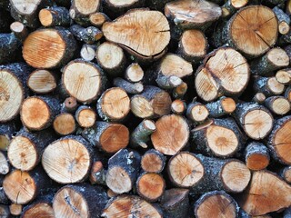 Texture background with a stacked woodpile showing the circular cross sections of chopped logs