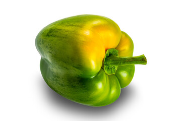 Side view closeup of single fresh green bell pepper, paprika isolated on white background with clipping path.