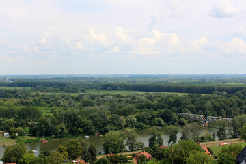 Wide Tisza river flowing through a lush green forest under a cloudy sky, creating a serene and picturesque landscape , Tokaj, Hungary