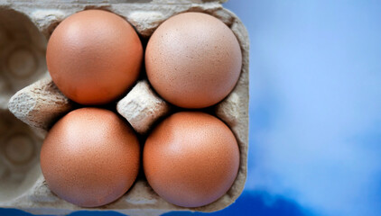 Fresh chicken eggs sits in the paper carton, online shopping concept for grocery or food store and goods selection, pastel blue sky background