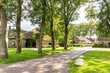Ancient little farm houses with straw roofing in village Norg in Municipality Noordenveld in the Netherlands. Traditional Esdorp in Northern Drenthe.
