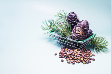 A cedar cone with a face and nuts in a grocery basket on a blue background close-up.