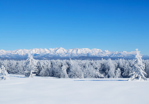 Snowy landscape: winter wonderland.