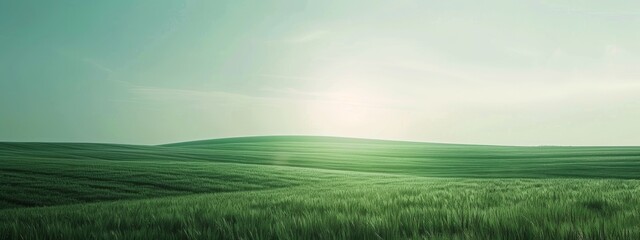 Obraz premium Minimalist desktop screensaver in agrarian style, light emerald color.