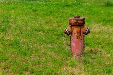 red fire hydrant is sitting in a grassy field