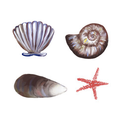 Set_seashell.eps