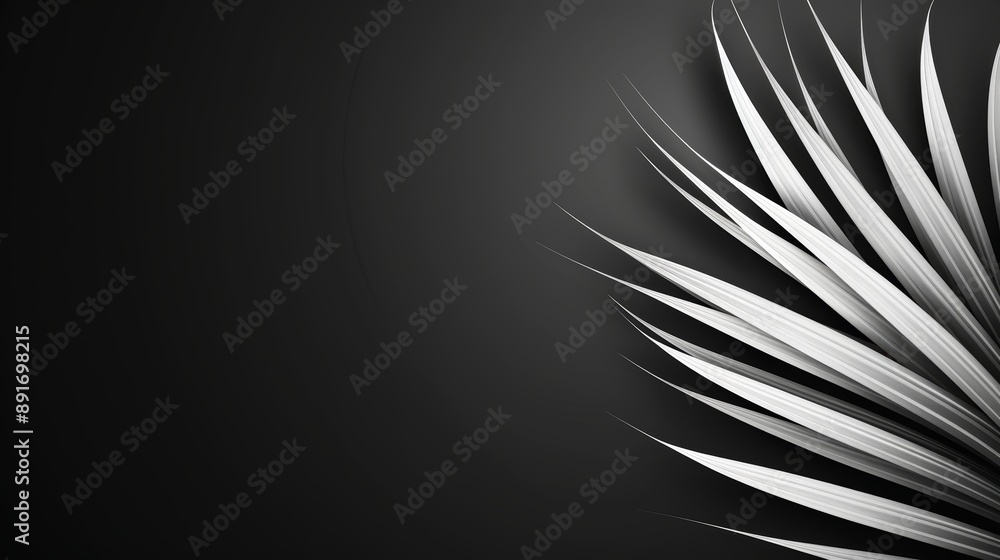 Poster a minimalistic abstract background with thin, white lines on a solid black background, high-resoluti