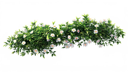 Obraz premium 3d illustration of shrub with flowers isolated on white background