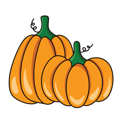 Vector pumpkin is isolated on the white background