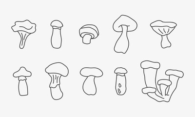 Outline mushrooms illustration. Sketch set of forest mushrooms