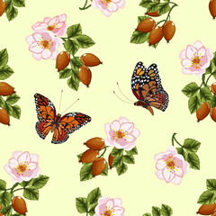 Butterflies and wild rose in a pattern.Vector pattern with butterflies and branches of wild rose berries on a colored background.