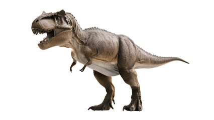 Fototapeta premium Tyrannosaurus rex dinosaur.