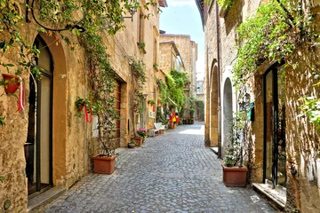 Fototapete Rund Quaint street lined with plants outside historic buildings in the medieval old town of Orvieto, Umbria, Italy © Jenifoto