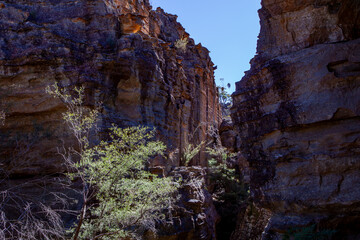 Gardens of Stone National Park, Central Tablelands,  New South Wales, Australia
