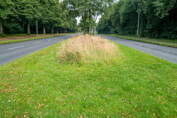 Empty asphalt road with pavement and grass verge