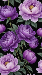 Obraz premium Beautiful peonies on a black background.