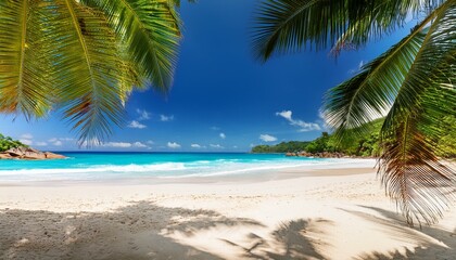 Fototapeta premium tropical sunny beach and coconut palms on seychelles summer vacation and tropical beach concept