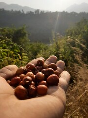 Eating fruit with fascinating natural vibes 
