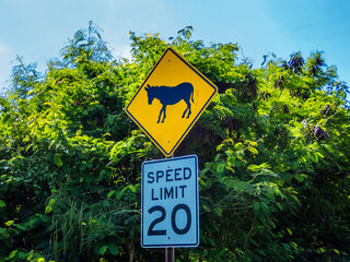 Donkey road sigh  on the Caribbean island of St John in the US Virgin Islands
