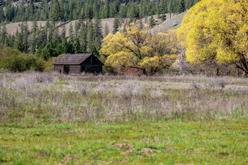 Old Historic Double-Crib Threshing Barn in Riverside State Park Near the Little Spokane River, Nine...
