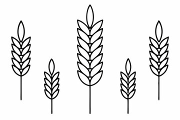 Wheat ear line and glyph icon, farming and agriculture, grain sign vector graphics, a linear pattern on a white background, eps 10. stock illustration