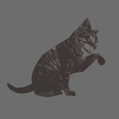 Cat vektor isolated design template 