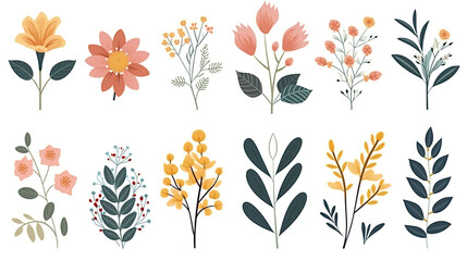 Delicate flowers isolated on pure white background