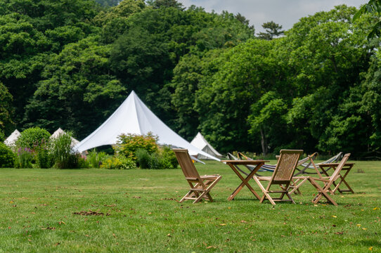 camping in the forest