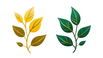 Fototapeta premium Golden and green leave isolated on pure white background