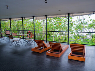 amazonia