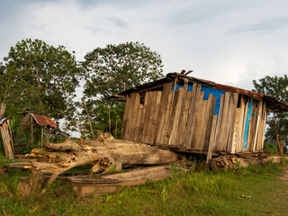 Amazonia