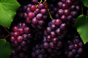 Fresh fruit brunch black grapes