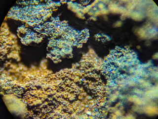 Microscopic View of Metallic Corrosion Patterns