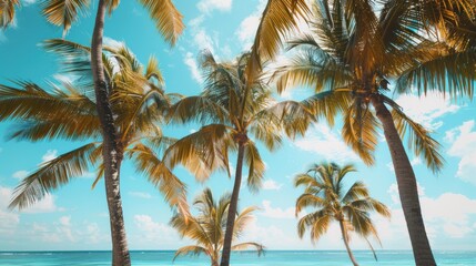 Tropical Paradise: Palm Trees and Azure Sky