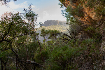 The Castle Walking Track, Budawang National Park, New South Wales, Australia