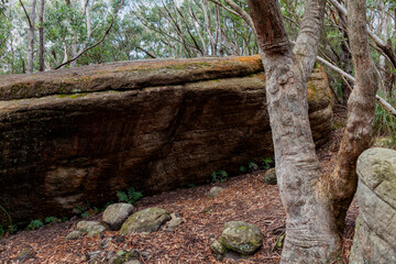 The Castle Walking Track, Budawang National Park, New South Wales, Australia