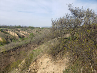 ravines in green grass against the blue sky