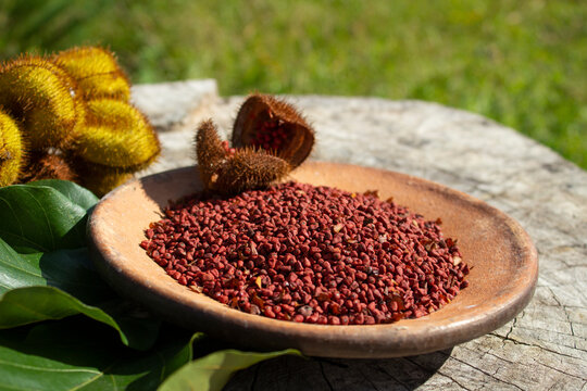 Urucum