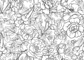 Fototapeta premium Rose flowers, Seamless pattern, background. Vector illustration. Outline hand drawing.