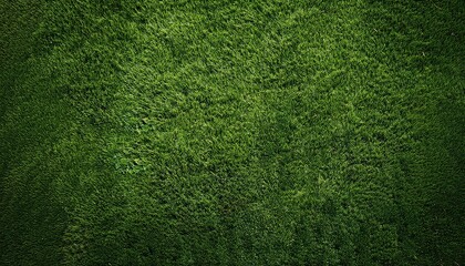 Fototapeta premium Top view of a textured green grass surface with copy space image.