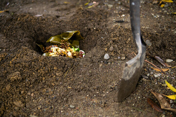A dirty shovel ready to dig a hole with organic waste to nourish the soil. organic garbage concept.